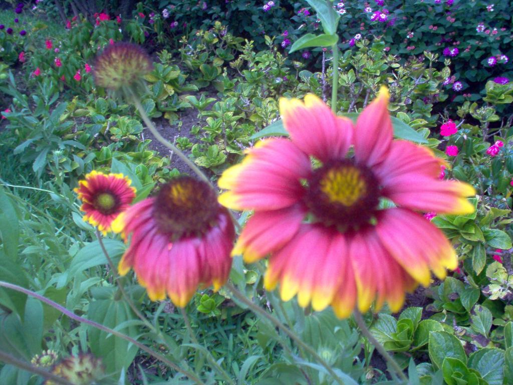 Foto de Tegucigalpa, Honduras