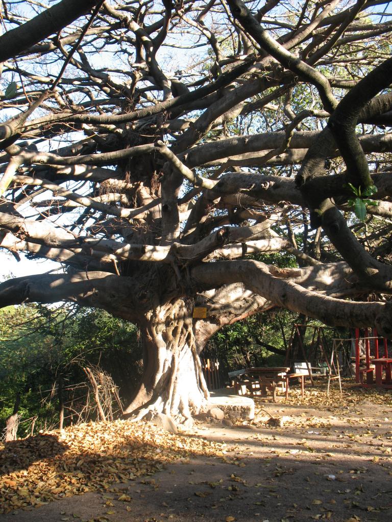 Foto de Sabanagrande, Honduras
