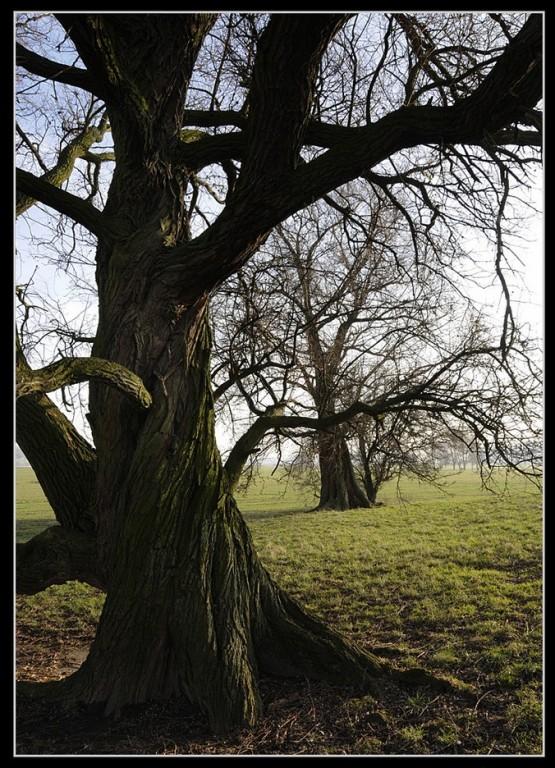 Foto de Bruselas, Bélgica