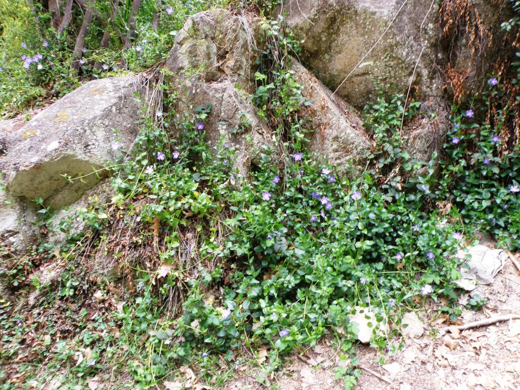 Foto de La Cumbrecita (Córdoba), Argentina