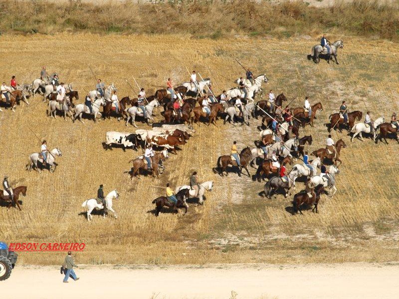 Foto de Langayo (Valladolid), España