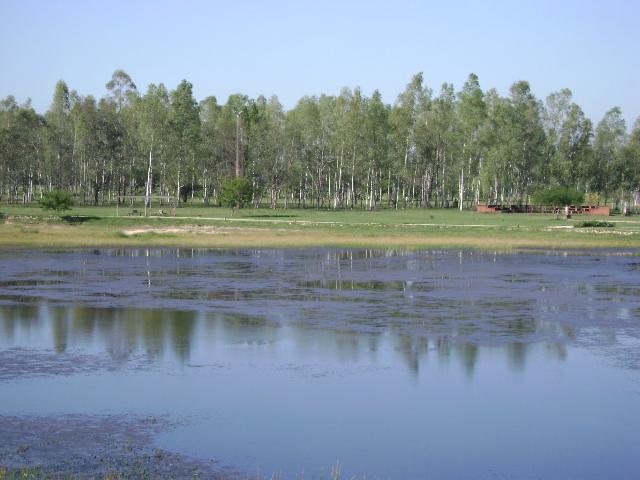 Foto de Luque, Paraguay