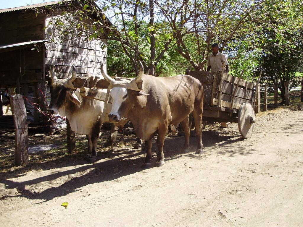 Foto de Guanacaste, Costa Rica