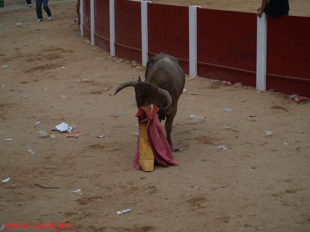 Foto de Peñafiel (Valladolid), España