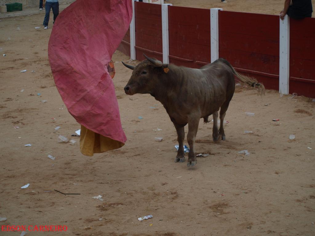 Foto de Peñafiel (Valladolid), España