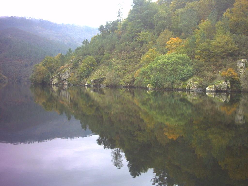 Foto de O Saviñao (Lugo), España
