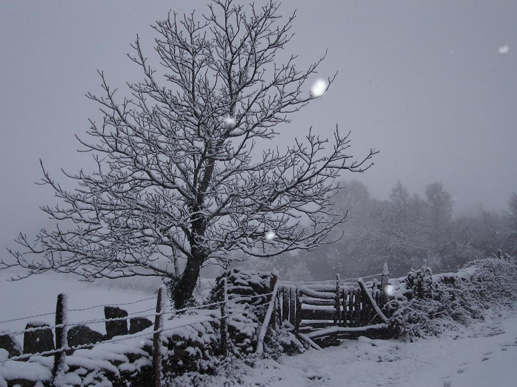 Foto de Samos (Lugo), España