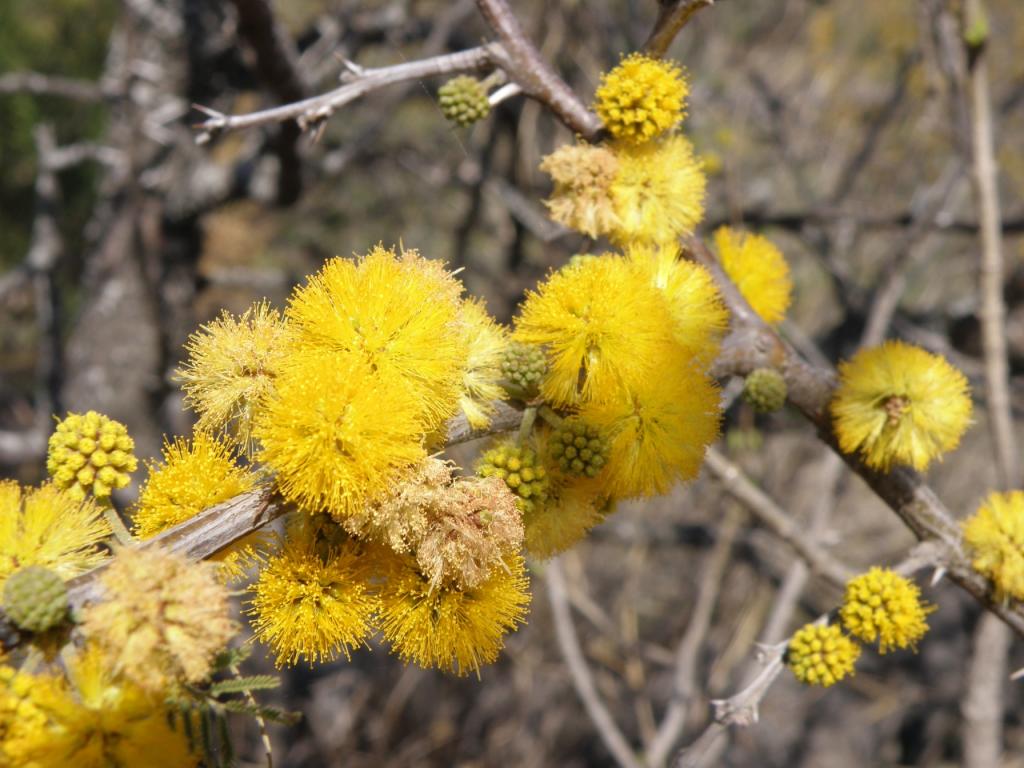 Foto de Cordoba, Argentina