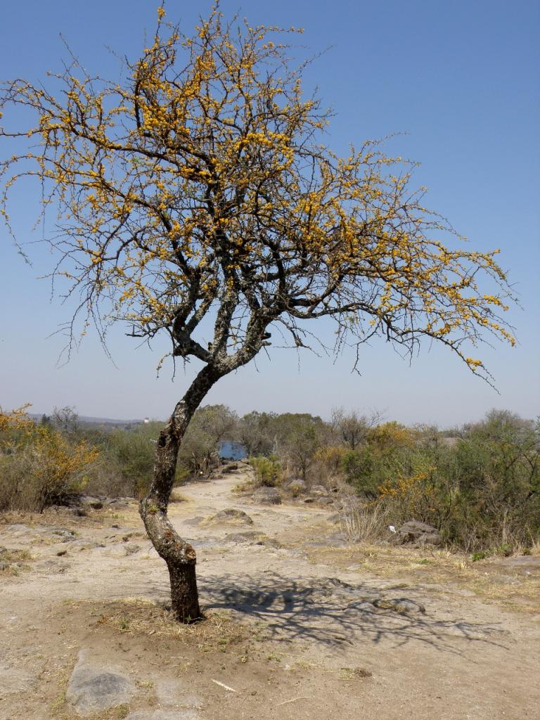 Foto de Cordoba, Argentina