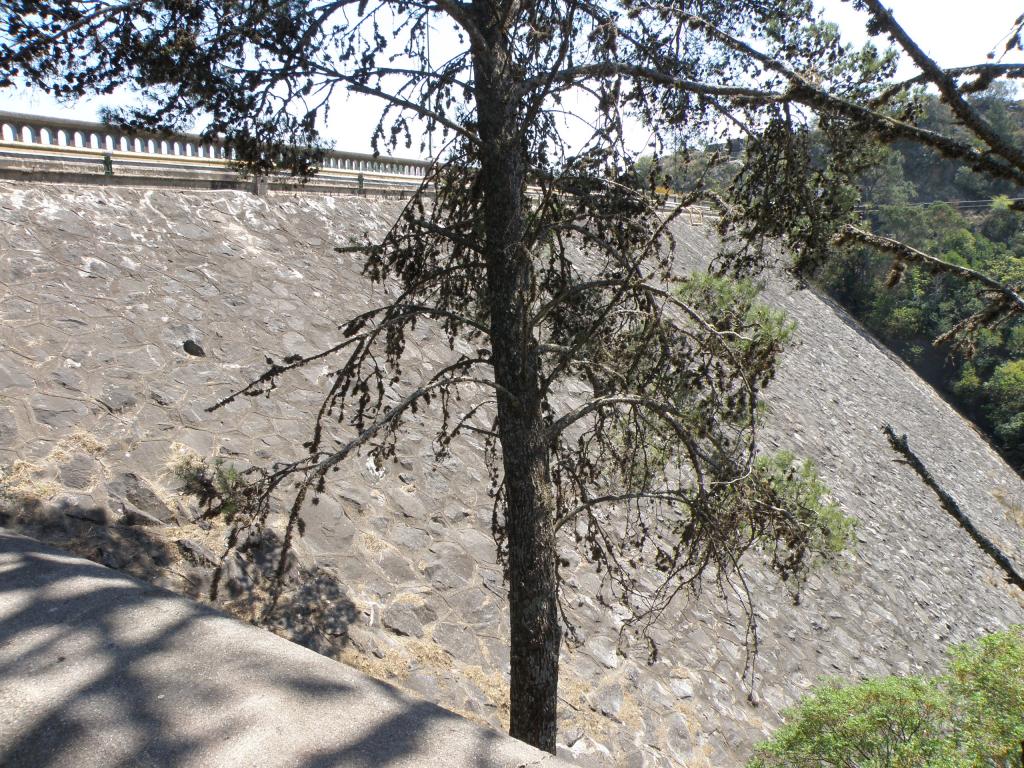 Foto de Cordoba, Argentina