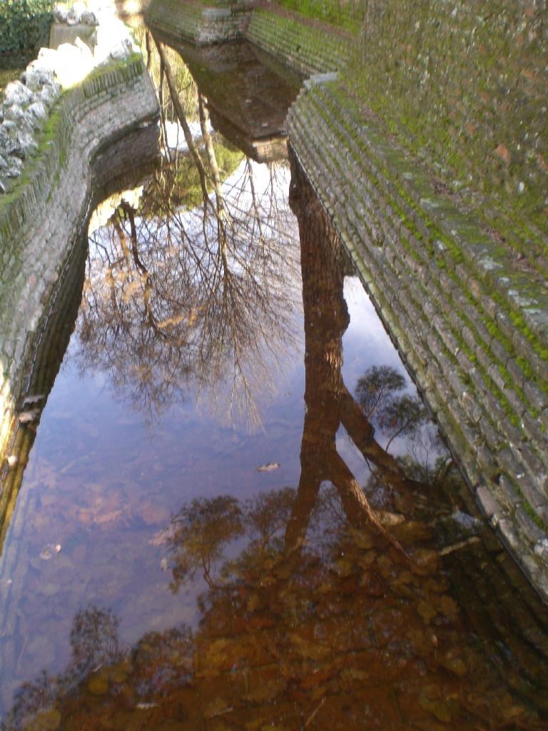 Foto de Madrid (Comunidad de Madrid), España