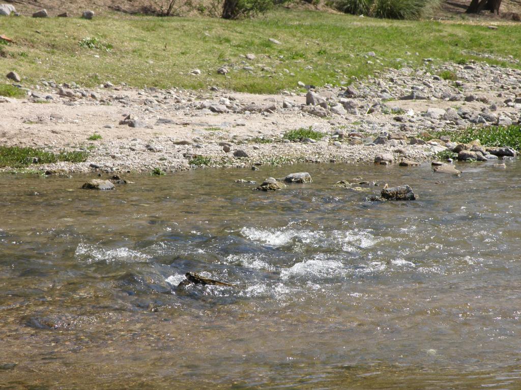 Foto de Santa Rosa de Calamuchita (Córdoba), Argentina