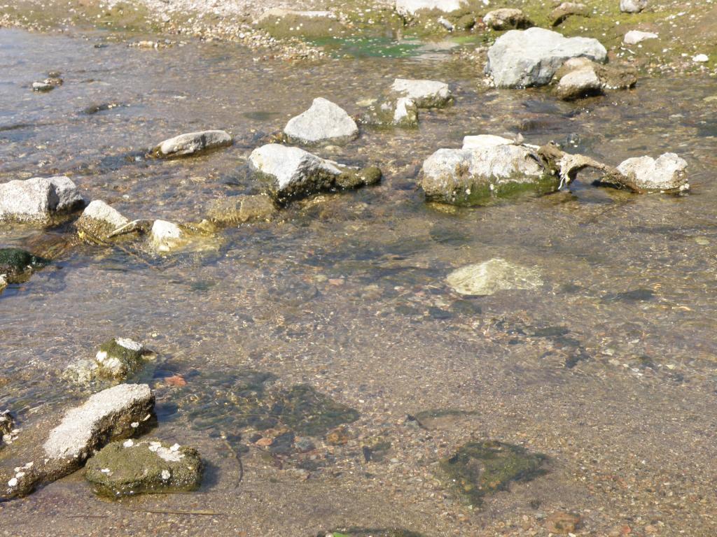 Foto de Santa Rosa de Calamuchita (Córdoba), Argentina