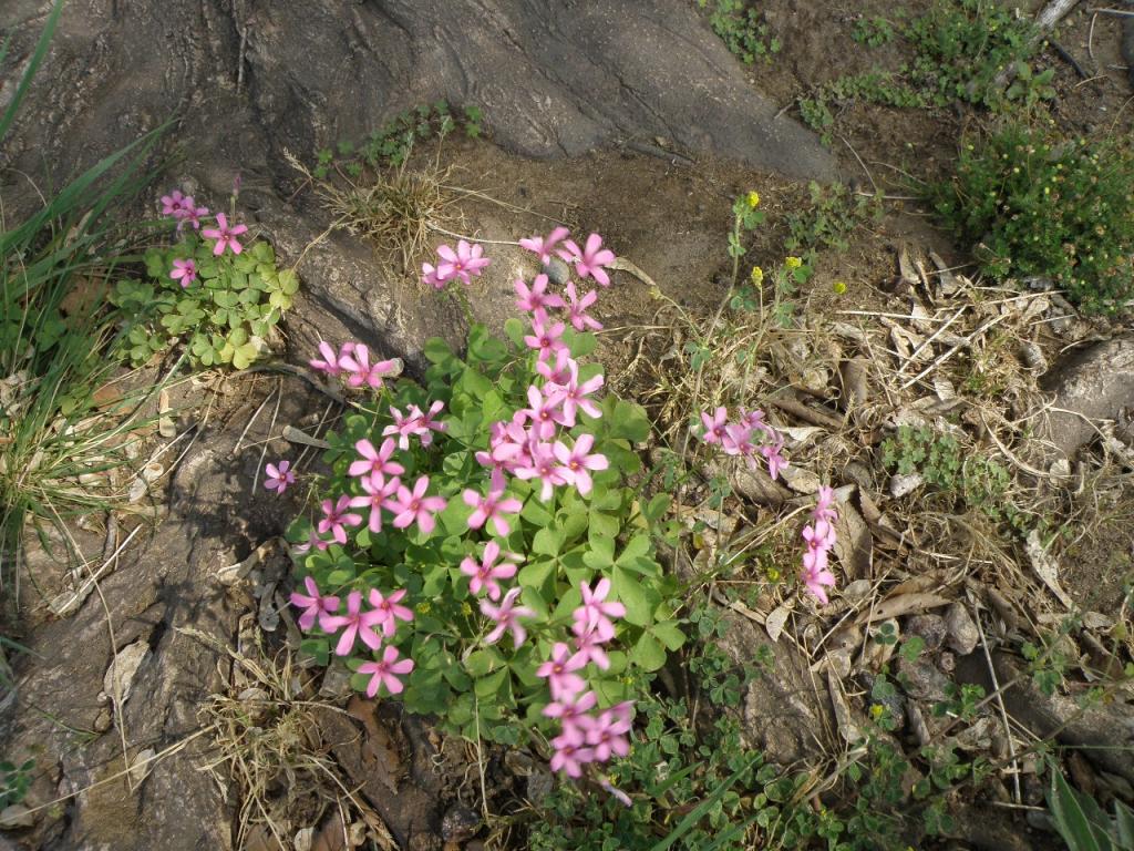 Foto de Santa Rosa de Calamuchita (Córdoba), Argentina