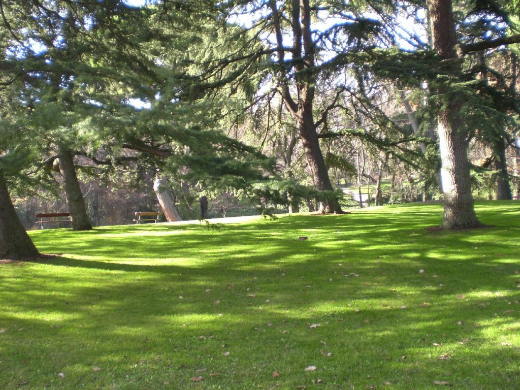 Foto de Madrid (Comunidad de Madrid), España