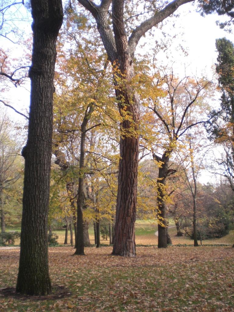 Foto de Madrid (Comunidad de Madrid), España