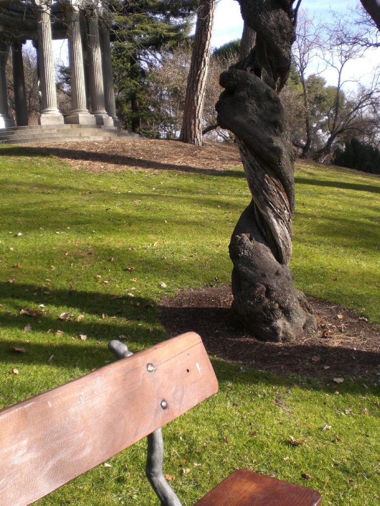 Foto de Madrid (Comunidad de Madrid), España