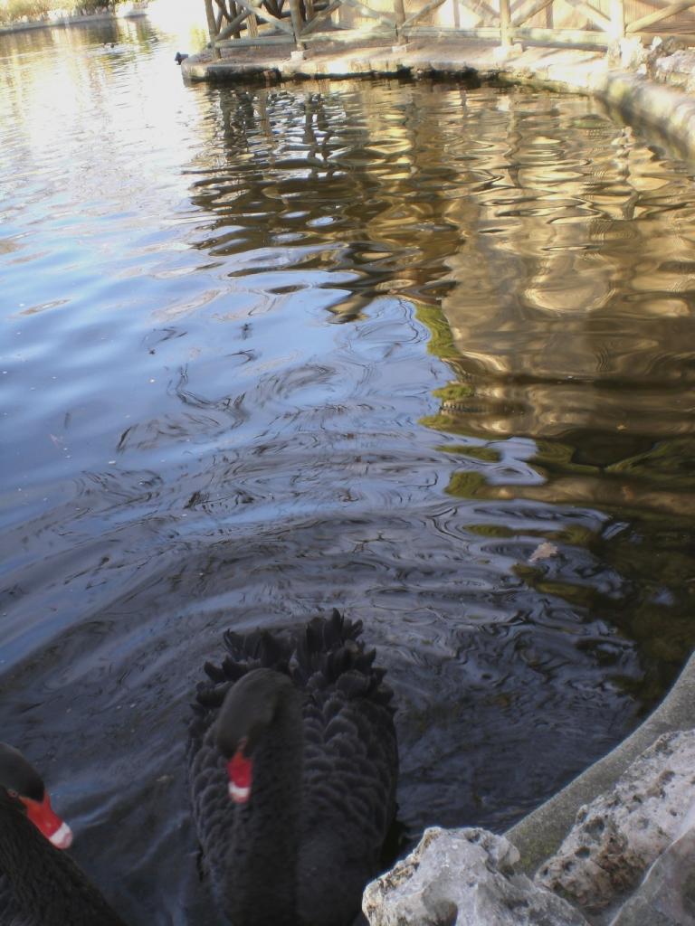 Foto de Madrid (Comunidad de Madrid), España