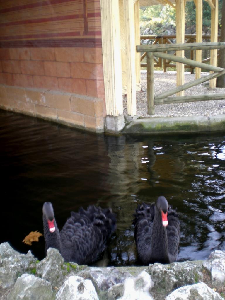 Foto de Madrid (Comunidad de Madrid), España