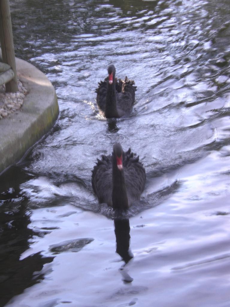 Foto de Madrid (Comunidad de Madrid), España
