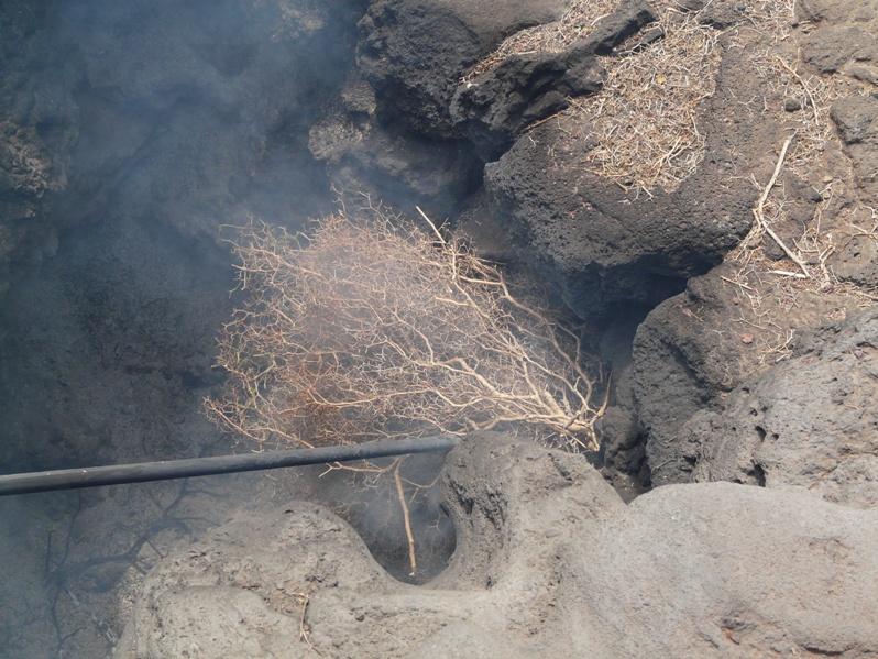 Foto de Lanzarote (Las Palmas), España