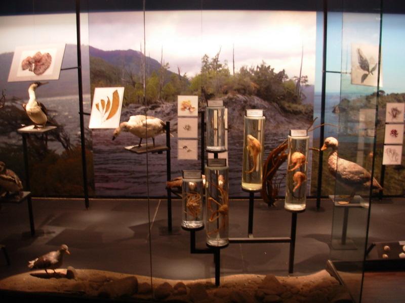 Foto de Santiago, Chile