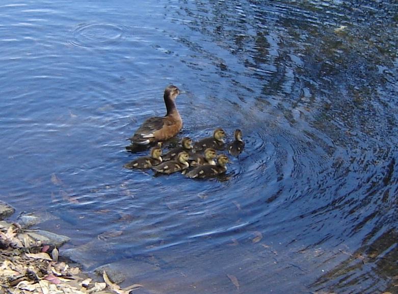 Foto de Ciudad de Buenos Aires, Argentina