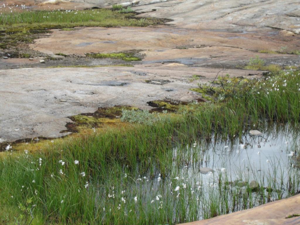 Foto de Bodo, Noruega