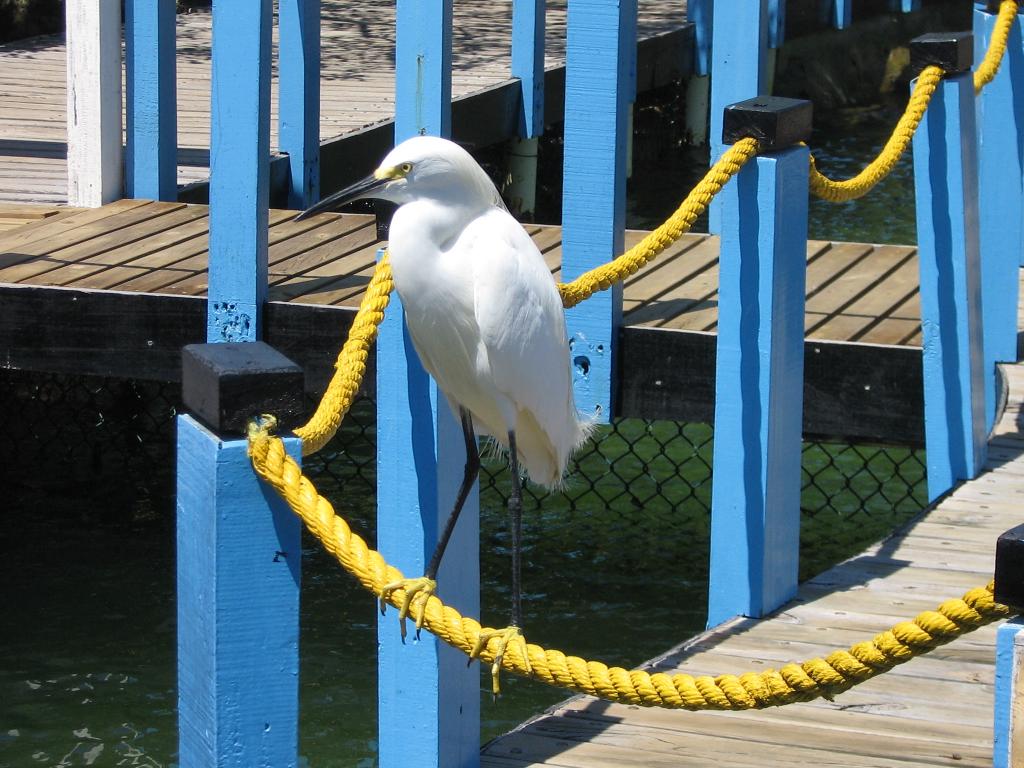 Foto de Cartagena, Colombia