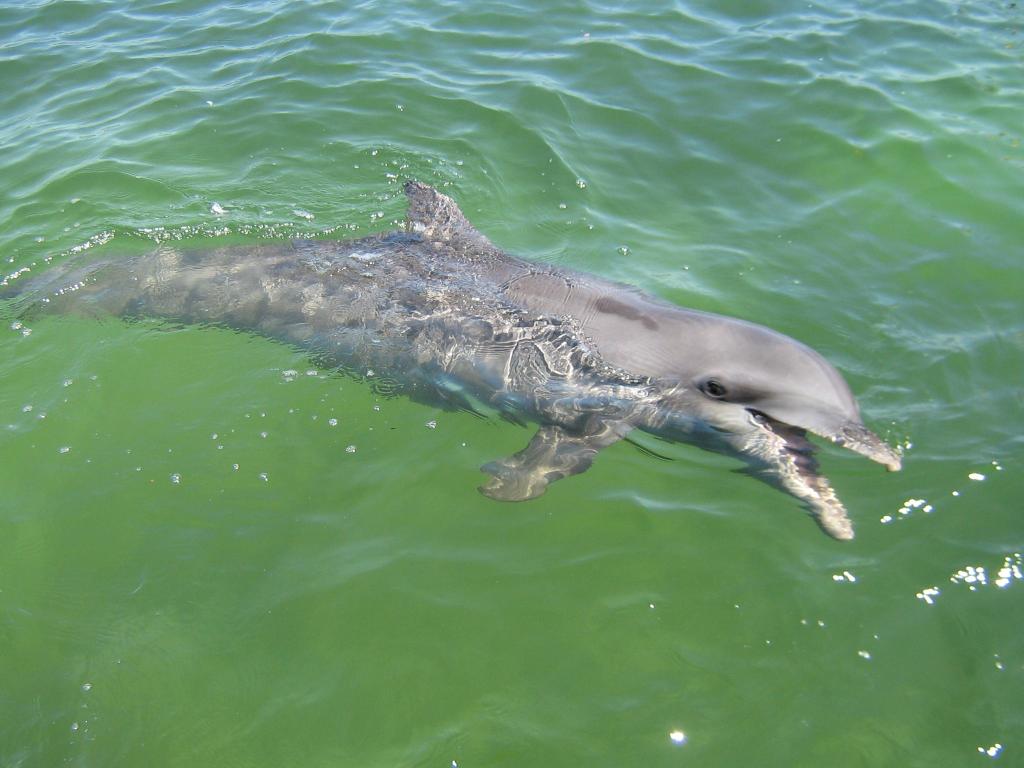 Foto de Cartagena, Colombia