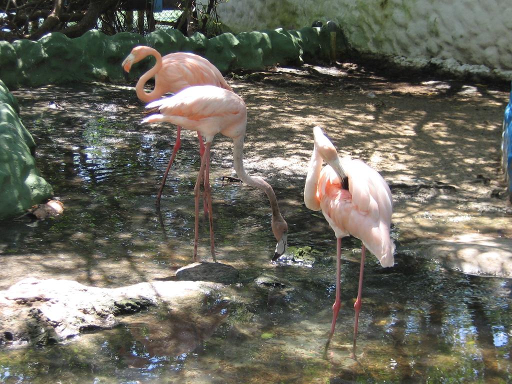 Foto de Cartagena, Colombia