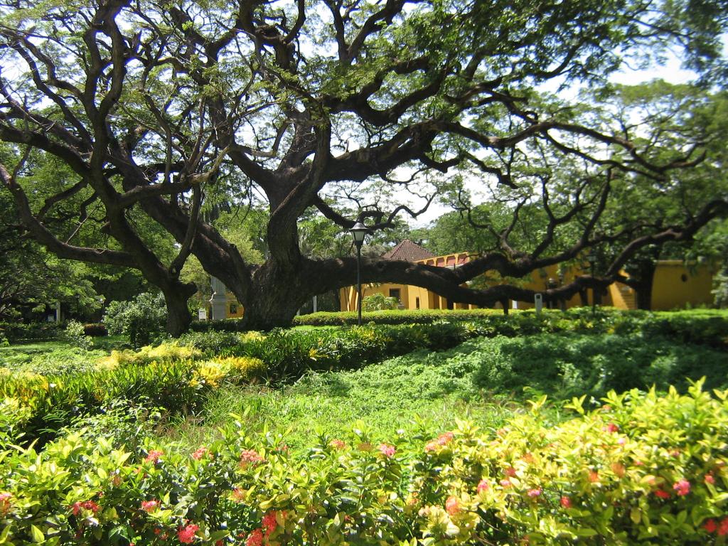 Foto de Santa Marta, Colombia