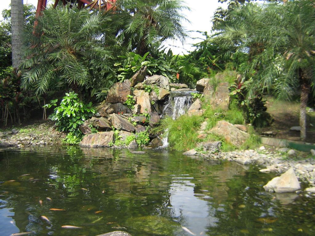 Foto de Quindio, Colombia