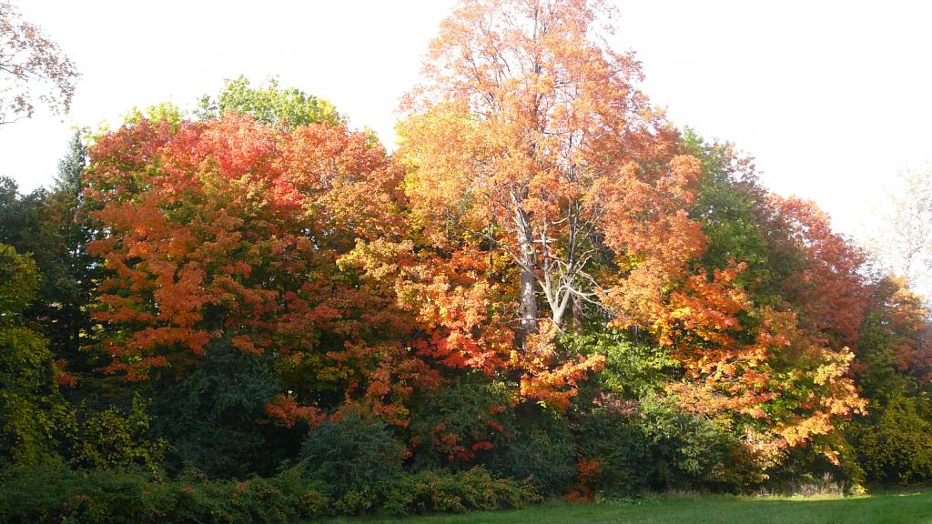 Foto de London, Canadá