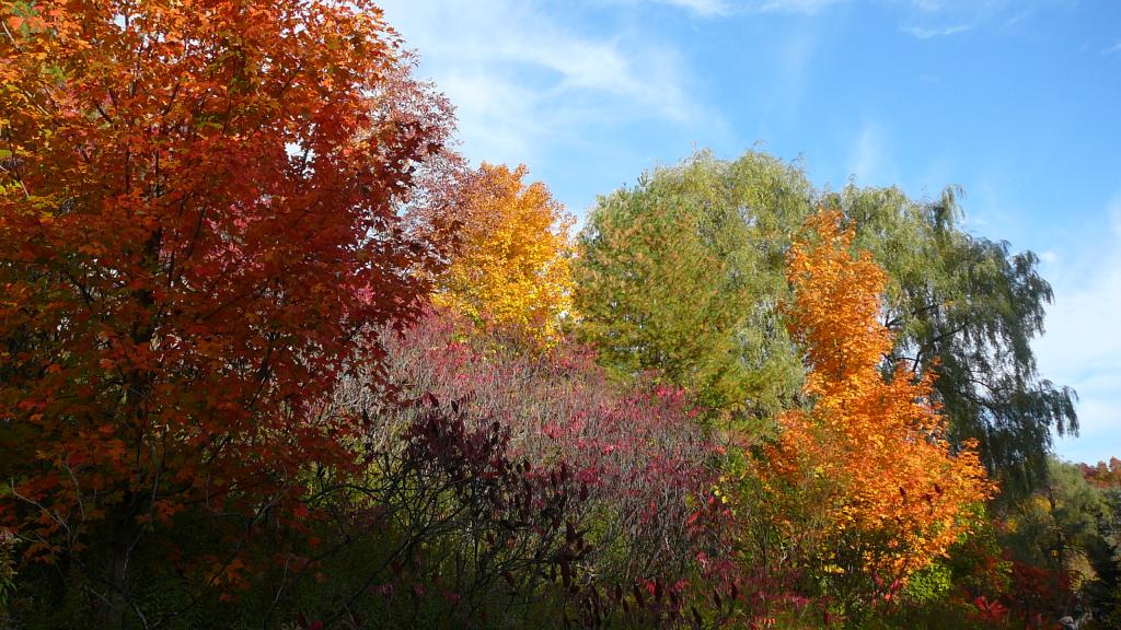 Foto de London, Canadá
