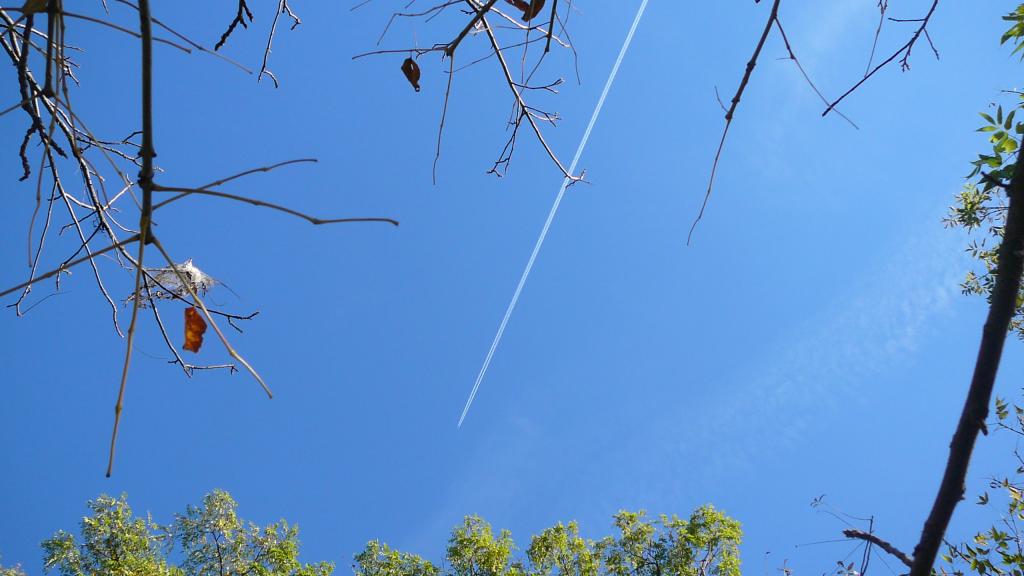Foto de Paris, Canadá
