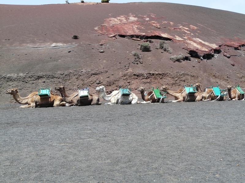 Foto de Lanzarote (Las Palmas), España