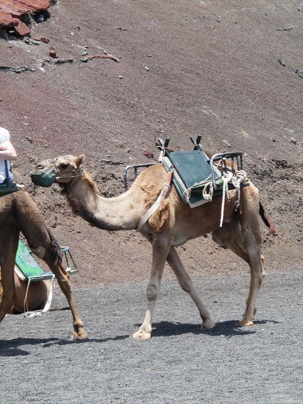 Foto de Lanzarote (Las Palmas), España