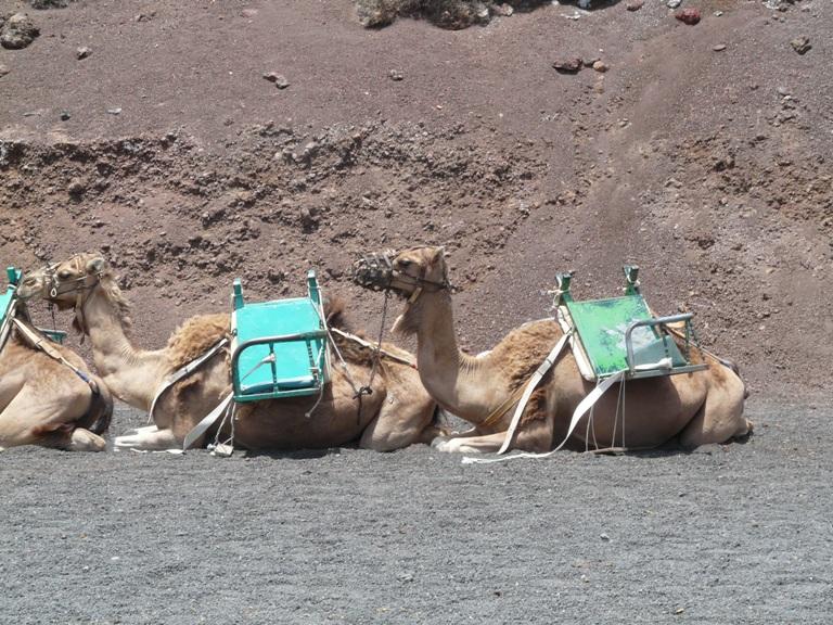 Foto de Lanzarote (Las Palmas), España