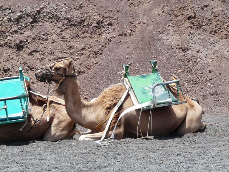 Foto de Lanzarote (Las Palmas), España