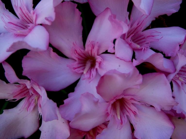 Foto de Barcelona (Cataluña), España