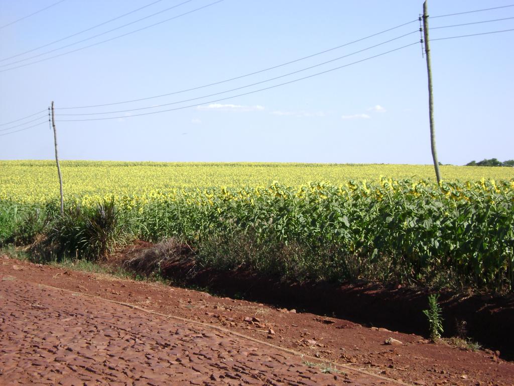 Foto de Jesús (Dpto. Itapua), Paraguay