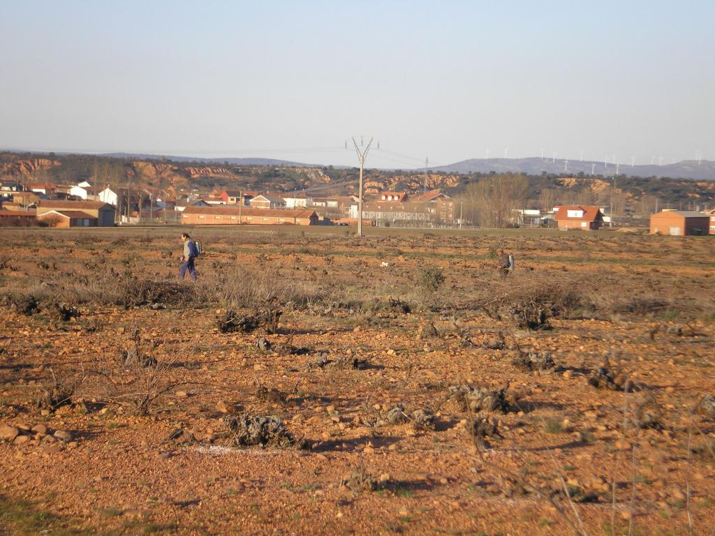 Foto de San Pedro de Ceque (Zamora), España