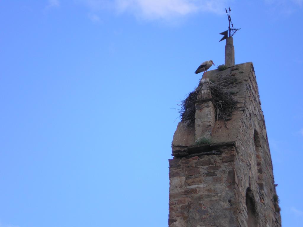 Foto de San Pedro de Ceque (Zamora), España