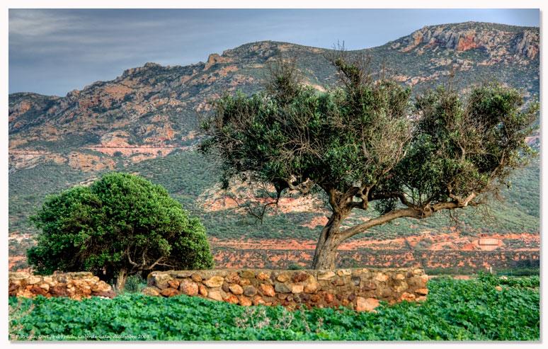 Foto de Níjar (Almería), España
