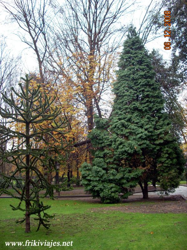 Foto de Oviedo (Asturias), España