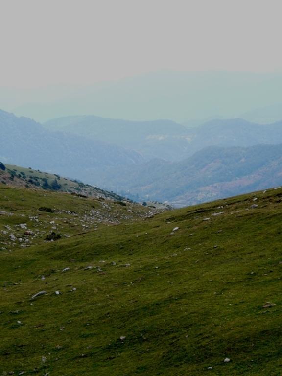 Foto de Cadí (Moixeró) (Lleida), España