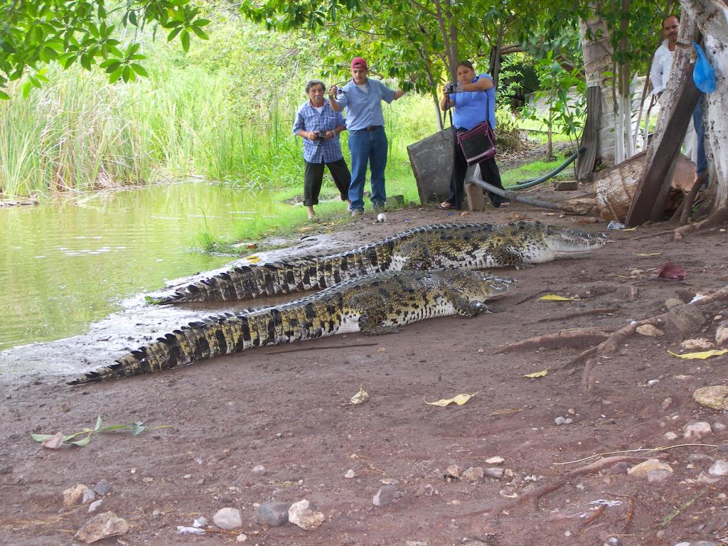 Foto de Tecomán (Colima), México