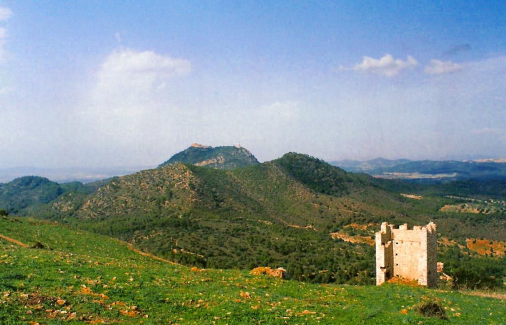 Foto de Felanitx (Mallorca) (Illes Balears), España