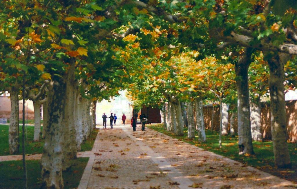 Foto de Vera de Moncayo (Zaragoza), España